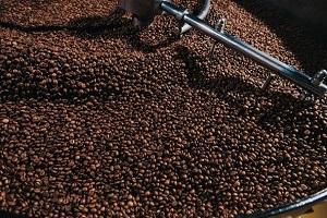 Te Latte Café - Mocca Con Ganoderma Lucidum Te Latte Café - Te latte Cafe Mocca Con Ganoderma Lucidum