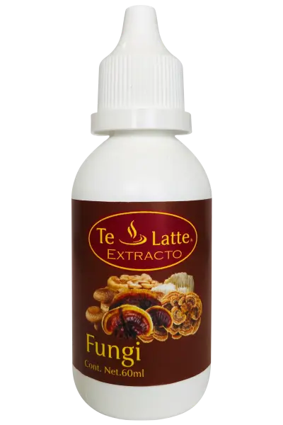 Elixi de FUNGI