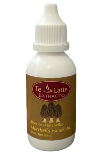 Elixir de Morchella